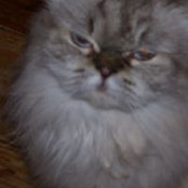 Sandra Legasey's photo