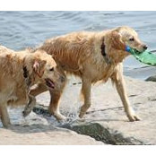 Robert Coughlin's photo