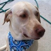 Cynthia Fedor's photo