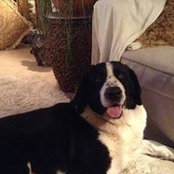 Foto von Adrienne Parsonage