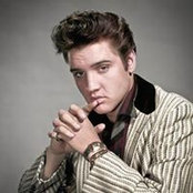 Tommy Mauro's photo