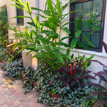Sweet Spanish Style Cottage- Dunedin FL
