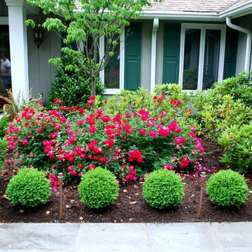 Foundation Beds