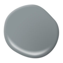 Millennium Silver HDC-NT-27 - Paint