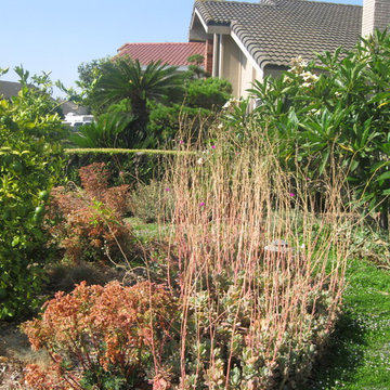 Fountain Valley Eco Yard