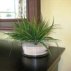 The New Greenery - Products