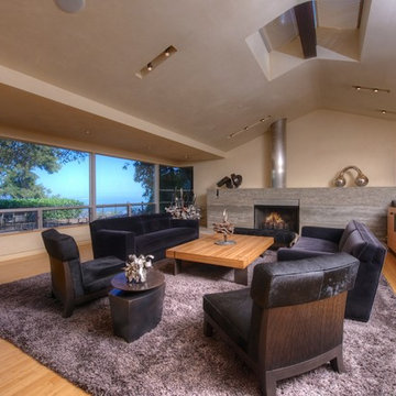 Tiburon Modern