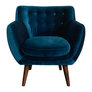 Blue Velour