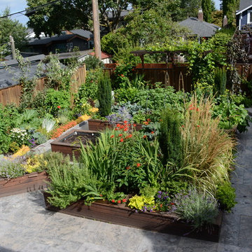 Raised Vegetable Bed / Ornamental Garden 2016