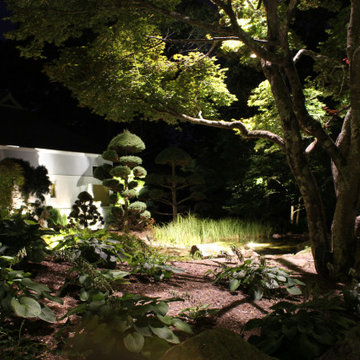 A most Unique Property with some Specimen Plant materials over 100 years old