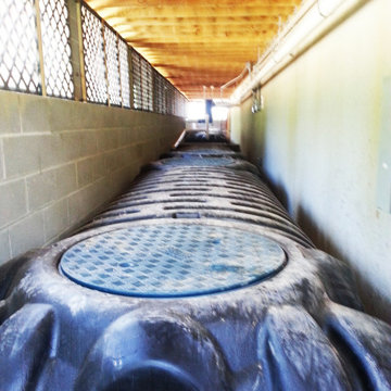 Rainwater Harvesting