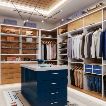 Contemporary Walk-In Closet with Blue Island