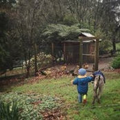Lani Greener's photo