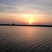 Ora Pitts's photo