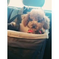 Doudou