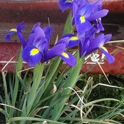 Renee Brightwell's photo