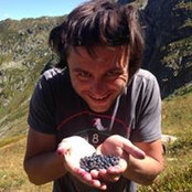 Foto von Nikitin Dmitry