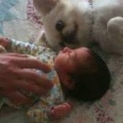 Lana Freger's photo