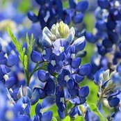 Robyn Butler's photo