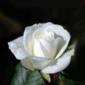 Joyce McEnespy's photo