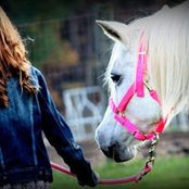 Jennifer Williams Swanner's photo