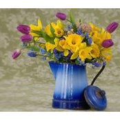 Karla Selig's photo