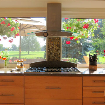 Bloomfield Hills Modern Kitchen