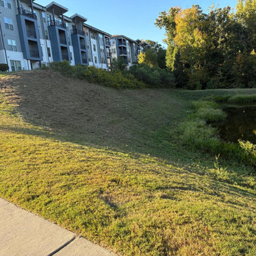 Pond Cleanup and Debris Removal