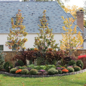 Whimsical Landscape Design