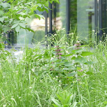 Naturnahes Firmengelände für die Kärcher GmbH & Co KG in Winnenden