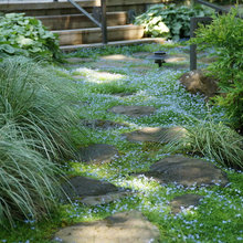 Landscaping Ideas