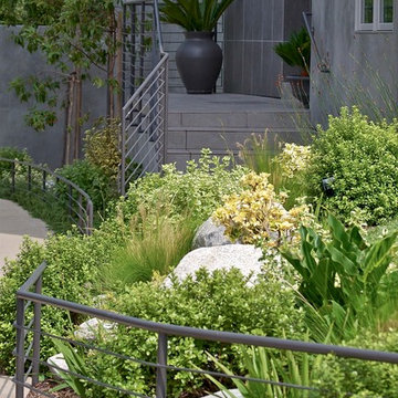 Modern Landscape Front Entry in Grey and Green