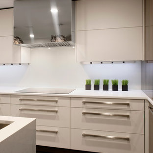 Large contemporary kitchen pantry designs - Inspiration for a large contemporary u-shaped dark wood floor kitchen pantry remodel in Baltimore with an undermount sink, flat-panel cabinets, white cabinets, quartzite countertops, gray backsplash, mirror backsplash, paneled appliances and an island