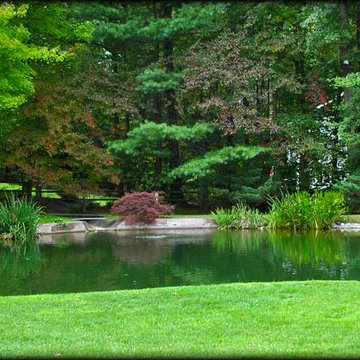 LARGE SCALE KOI POND w/ WETLAND FILTRATION