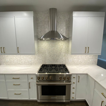 Lincoln Park Elegant full home renovation