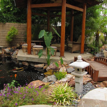 Koi Pond