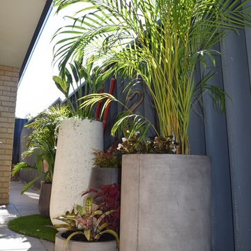 Exterior Styling