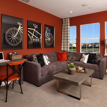 Living Room Ideas