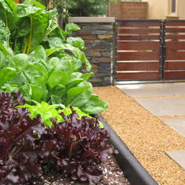 San Juan Capistrano Contemporary Woodland