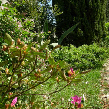 Giardini