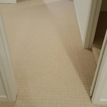 Patterned Carpet