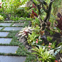 Outside Gardening