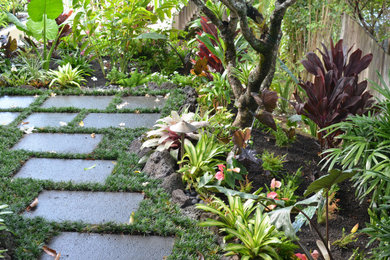 This is an example of a tropical landscaping in Hawaii.