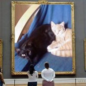 Ellen Yetgin's photo