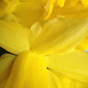 Barbara Iacono's photo