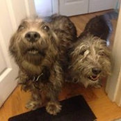 Naomi Goldman MacLeod's photo