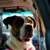 Jennifer McKane's photo