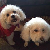 Stacy Benson's photo