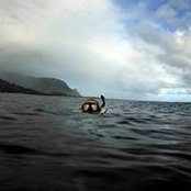 Ray Hatch's photo