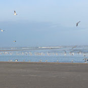 Ritesh Kumar's photo